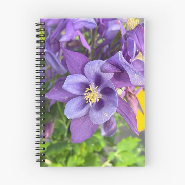 Item preview, Aquilegia vulgaris designed and sold by Ponted.