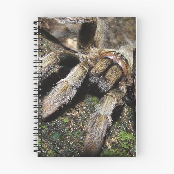 Item preview, tarantula spider designed and sold by tarantulaheaven.