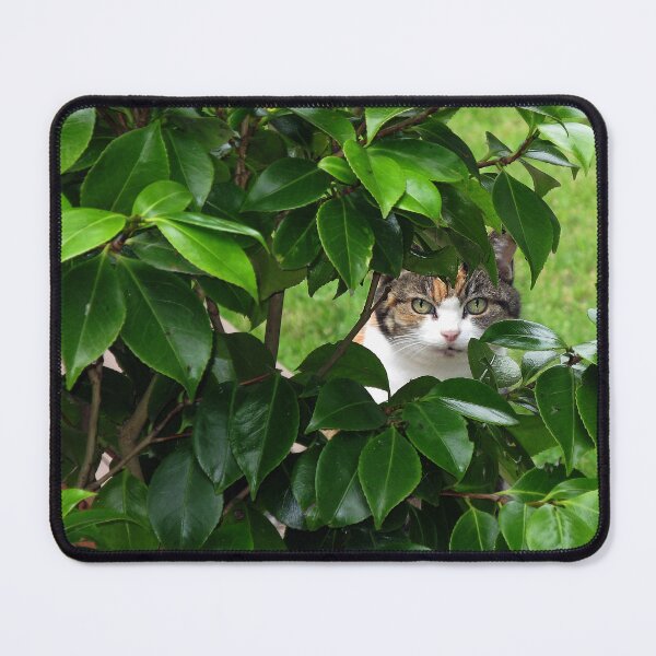 Item preview, Cat looking through greenery designed and sold by LorrieBee.