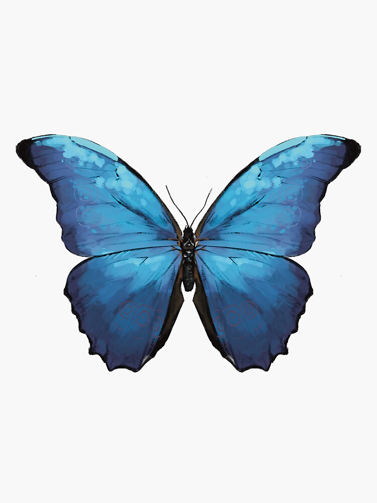 Morpho Butterfly Sticker for Sale by touelalfar