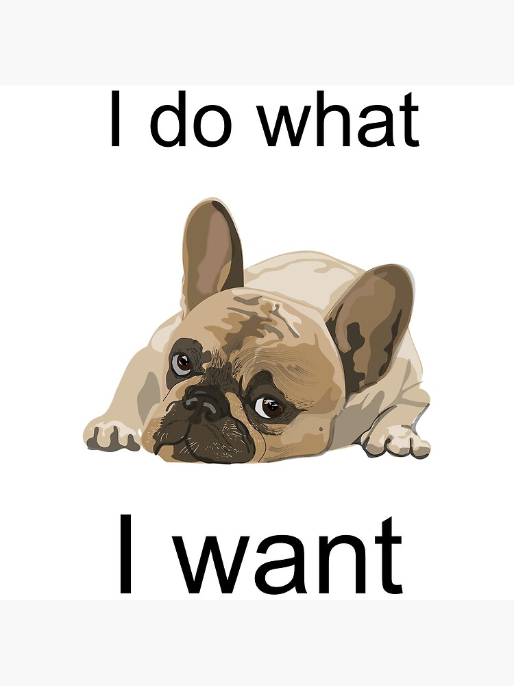I do what I WANT French bulldog Frenchies are the best Dog swag YOLO Art Print for Sale by art in a bottle Redbubble
