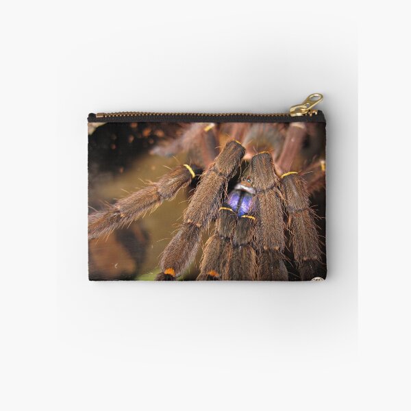 Item preview, Tarantula spider designed and sold by tarantulaheaven.