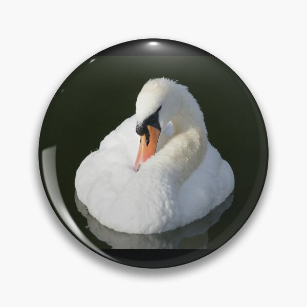 Item preview, Wildlife photograph of white swan bird in Britain designed and sold by GenevraAndCo.