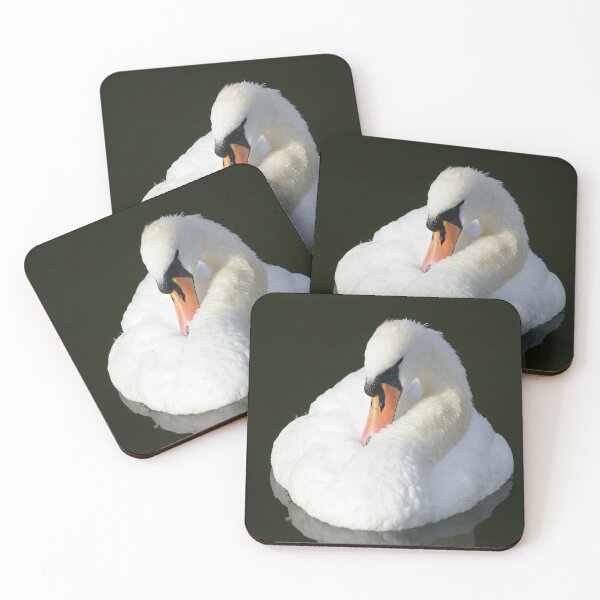 Item preview, Wildlife photograph of white swan bird in Britain designed and sold by GenevraAndCo.