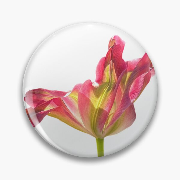 Item preview, 1 red-green tulip designed and sold by Binas-gallery.
