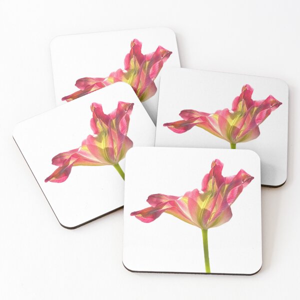Item preview, 1 red-green tulip designed and sold by Binas-gallery.