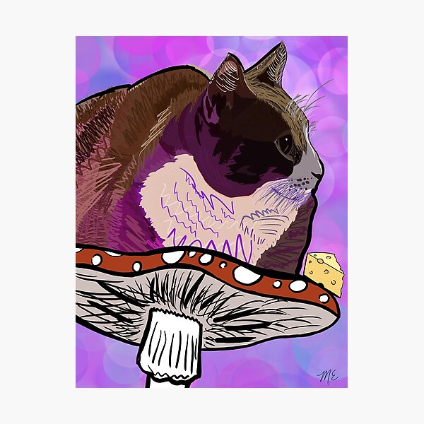 Item preview, Cheese the cat on a mushroom designed and sold by mollyedison.