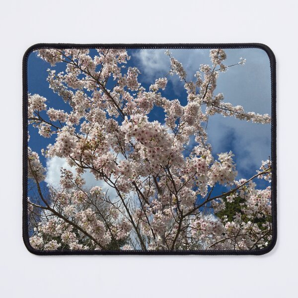 Item preview, Cherry Blossom on a Tree designed and sold by Sinemathk.