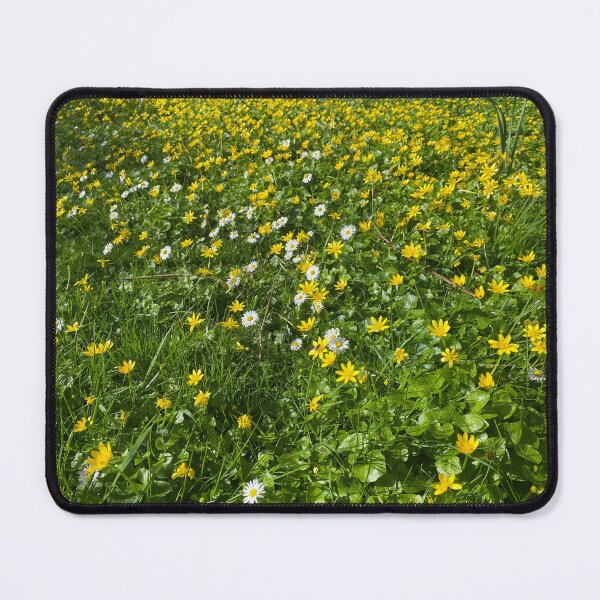 Item preview, Bed of Daisy and Buttercup Flowers designed and sold by Sinemathk.