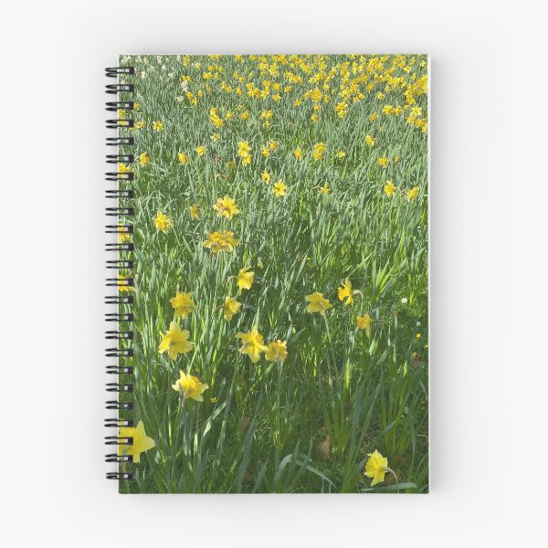Item preview, Bed of Yellow and White Daffodils designed and sold by Sinemathk.
