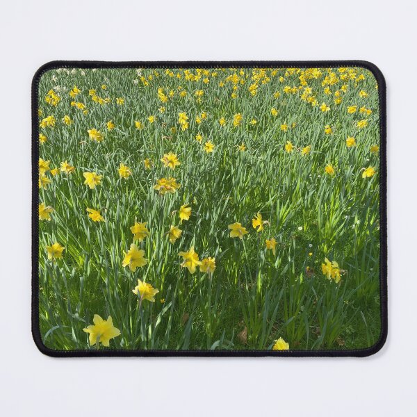 Item preview, Bed of Yellow and White Daffodils designed and sold by Sinemathk.