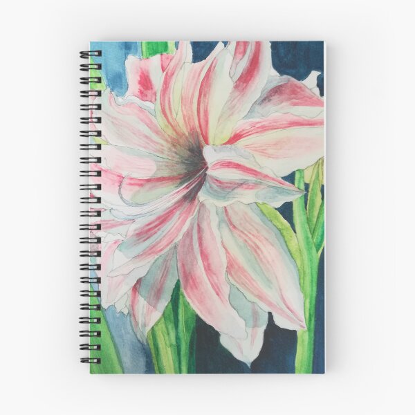 Item preview, Pink and white Amaryllis watercolour painting  designed and sold by esvb.