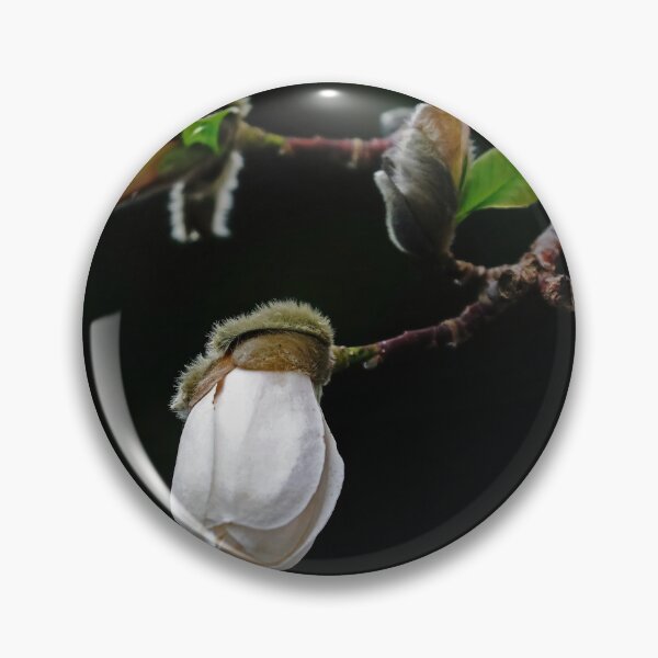 Item preview, Elegant Magnolia Buds designed and sold by Deb Oppermann.