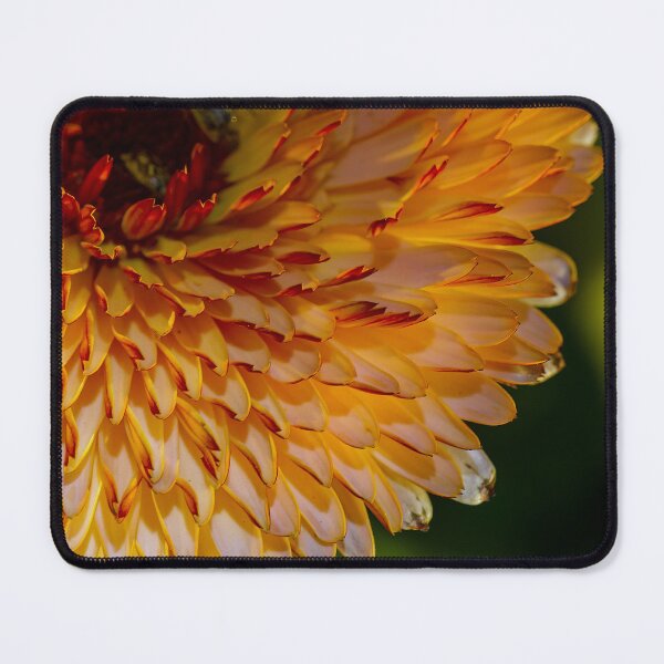 Item preview, Flashback Calendula designed and sold by alanathrower.