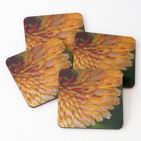 Item preview, Flashback Calendula designed and sold by alanathrower.