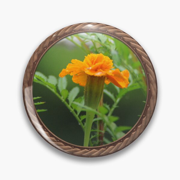Item preview, Orange Marigold Flowers in Celtic Circle Frame 15 designed and sold by Swabcraft.