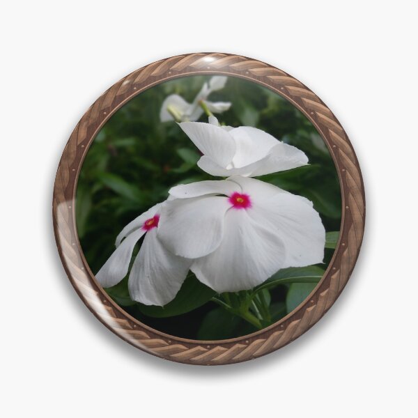 Item preview, White Periwinkle Flowers in Celtic Circle Frame 20 designed and sold by Swabcraft.