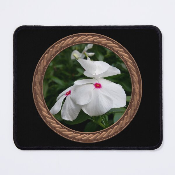 Item preview, White Periwinkle Flowers in Celtic Circle Frame 20 designed and sold by Swabcraft.