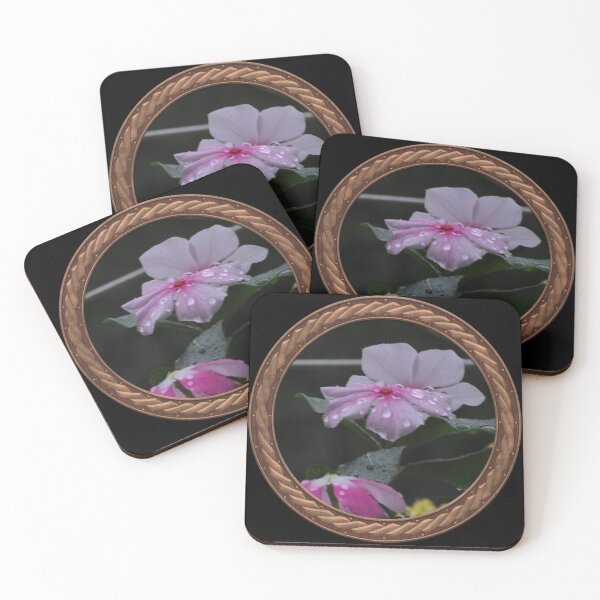Item preview, White and Pink Periwinkle Flowers in Celtic Circle Frame 21 designed and sold by Swabcraft.