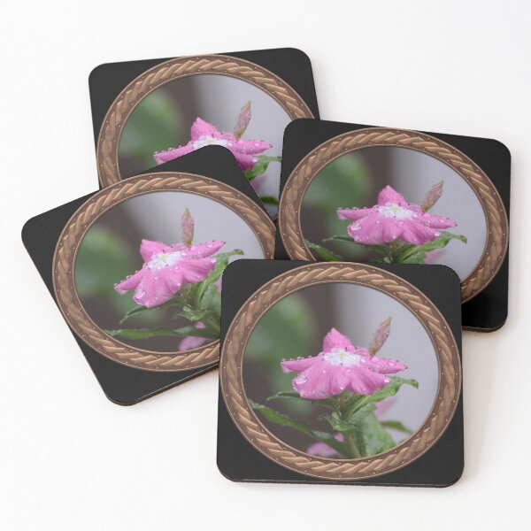 Item preview, Pink Periwinkle Flowers in Celtic Circle Frame 23 designed and sold by Swabcraft.