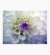 Freshness Photographic Print