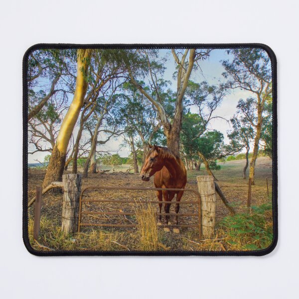 Item preview, Watching the World Go By designed and sold by markrichards.