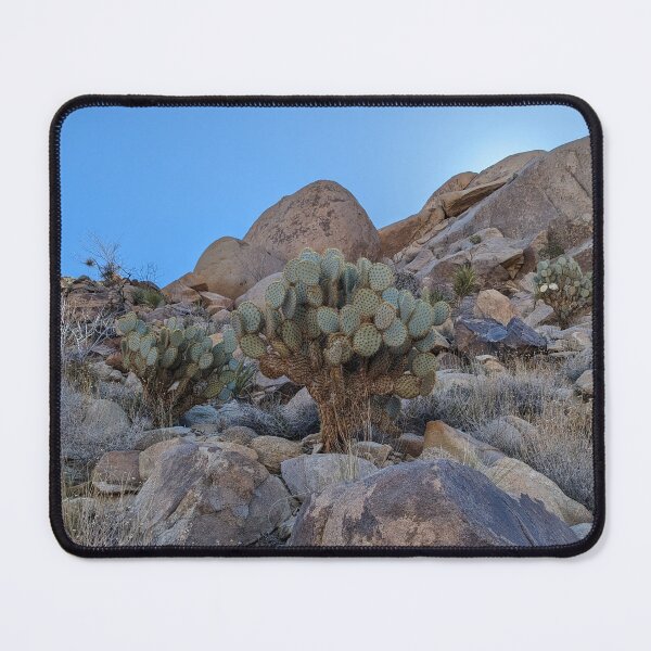 Item preview, Prickly Pear Cactus designed and sold by Jkund19.