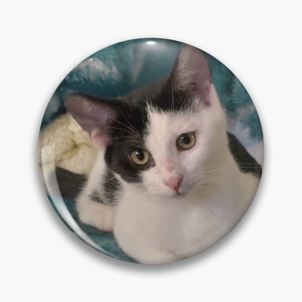 Item preview, Kitten Tilting Her Head Adorably designed and sold by BreezyBalloon.