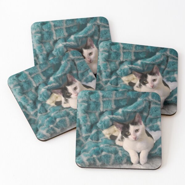 Item preview, Kitten Tilting Her Head Adorably designed and sold by BreezyBalloon.