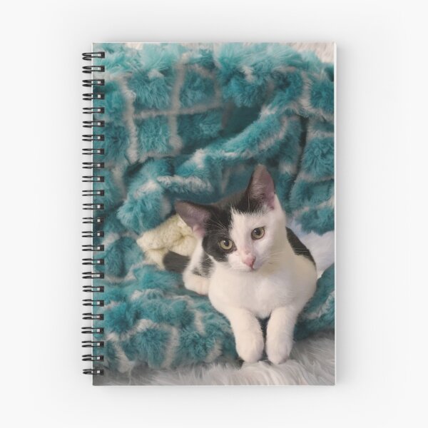 Item preview, Kitten Tilting Her Head Adorably designed and sold by BreezyBalloon.