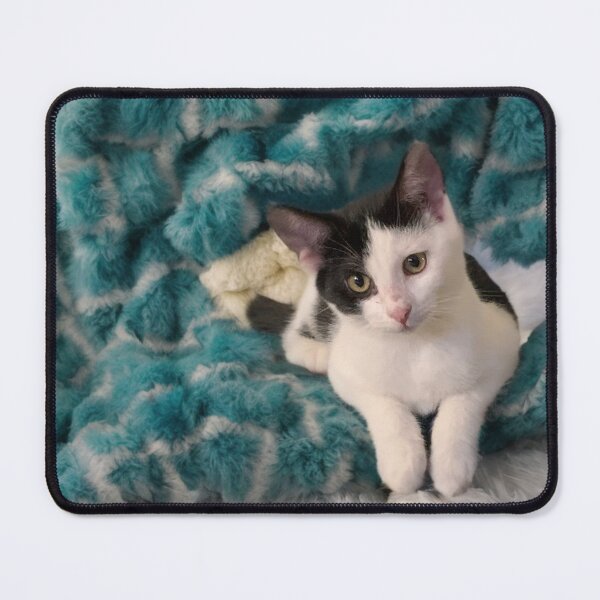Item preview, Kitten Tilting Her Head Adorably designed and sold by BreezyBalloon.