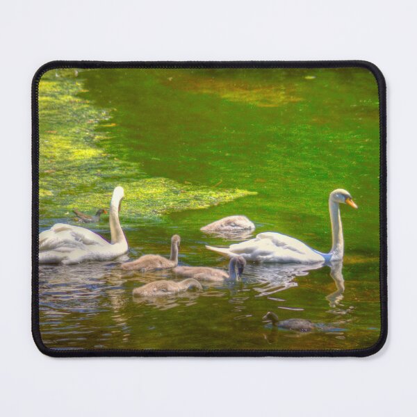 Item preview, Swan Lake designed and sold by markrichards.