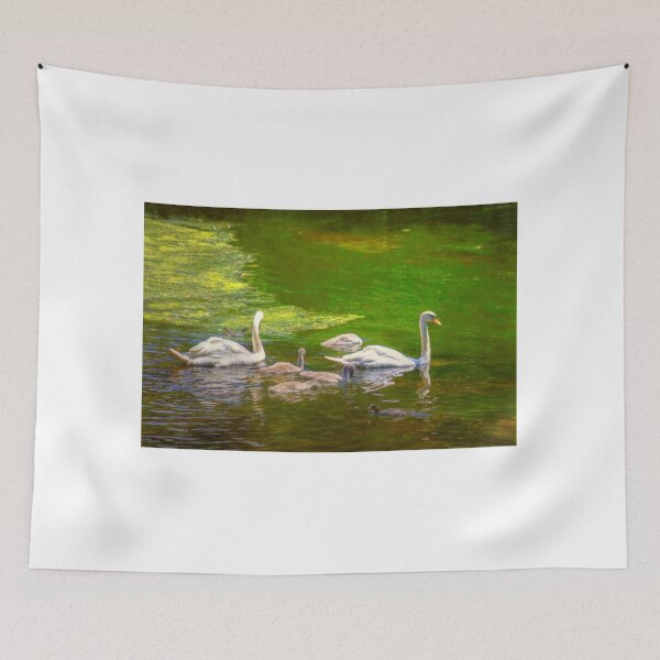 Item preview, Swan Lake designed and sold by markrichards.