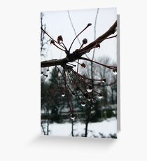 Waterdrops! Greeting Card