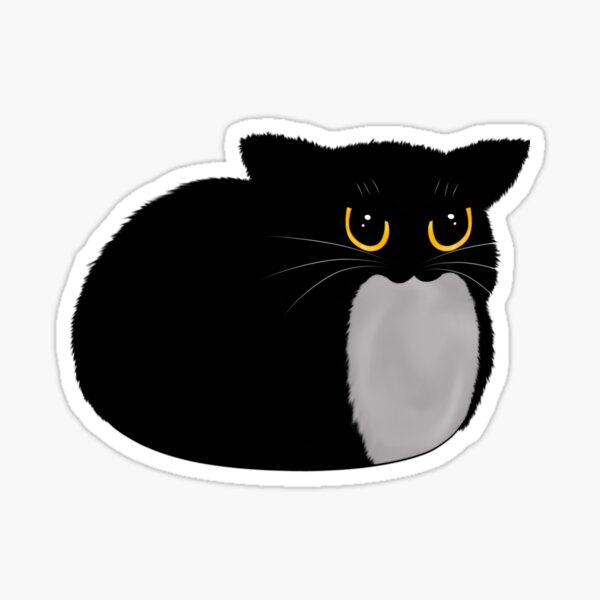 Maxwell Cat Sticker - Maxwell Cat Spinning - Discover & Share GIFs