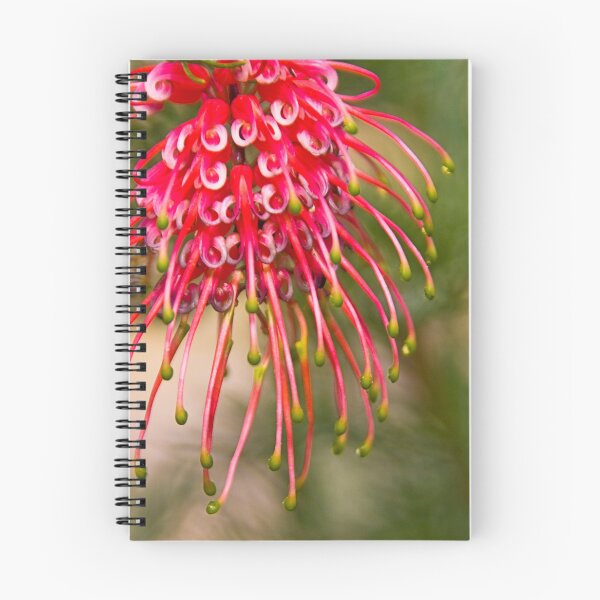 Item preview, Grevillea II designed and sold by markrichards.