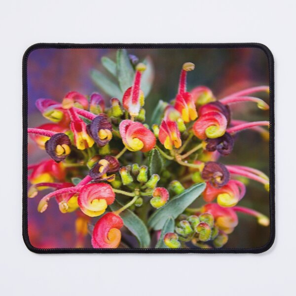 Item preview, Fireworks designed and sold by markrichards.