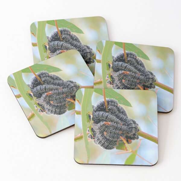 Item preview, A Caterpillar Scrum designed and sold by elsha.