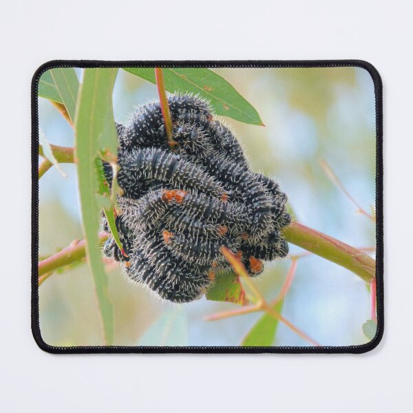 Item preview, A Caterpillar Scrum designed and sold by elsha.