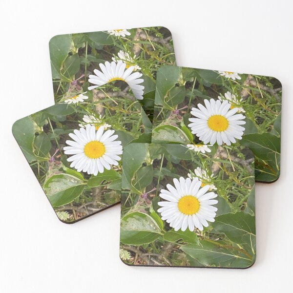 Item preview, White Daisy designed and sold by Image-Prints.
