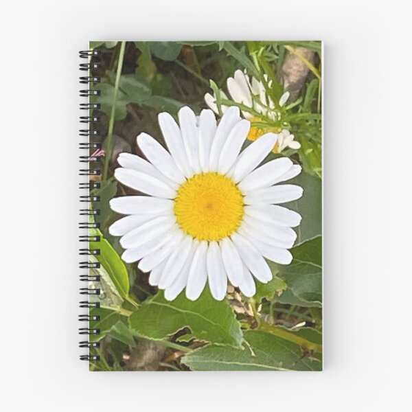 Item preview, White Daisy designed and sold by Image-Prints.