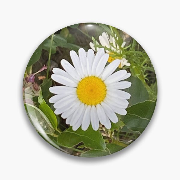Item preview, White Daisy designed and sold by Image-Prints.