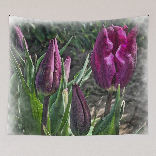 Item preview, Dark Purple Tulips Opening designed and sold by KirtTisdale.