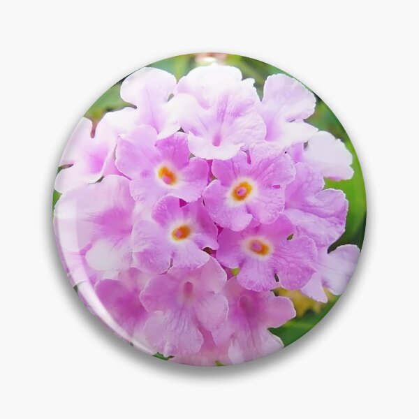 Item preview, Lantana designed and sold by elsha.