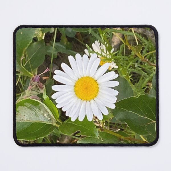 Item preview, White Daisy designed and sold by Image-Prints.