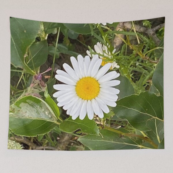 Item preview, White Daisy designed and sold by Image-Prints.