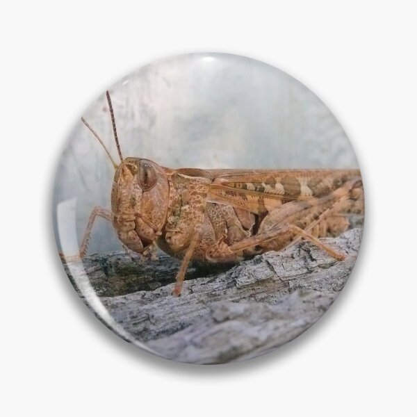Item preview, Locust designed and sold by elsha.