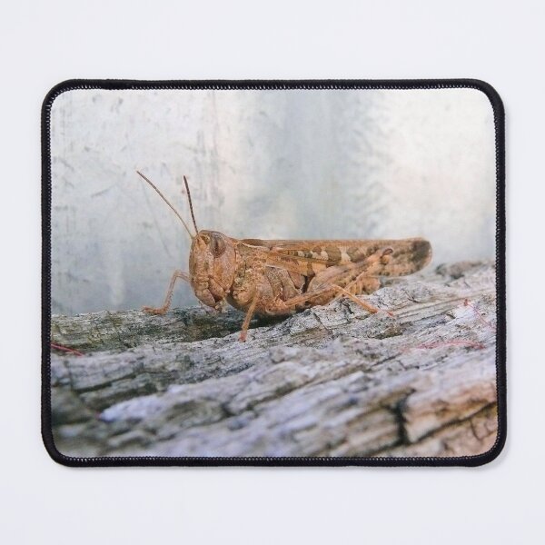 Item preview, Locust designed and sold by elsha.