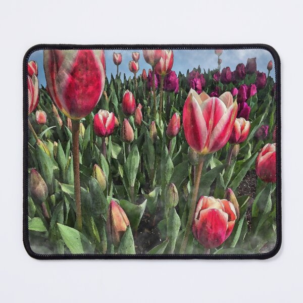 Item preview, The Land Of Tulips designed and sold by KirtTisdale.