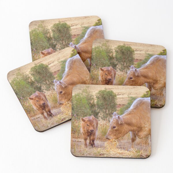 Item preview, Galloway Cows designed and sold by markrichards.